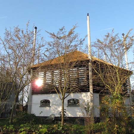 Boerenhofstede De Overhorn Весп Экстерьер фото